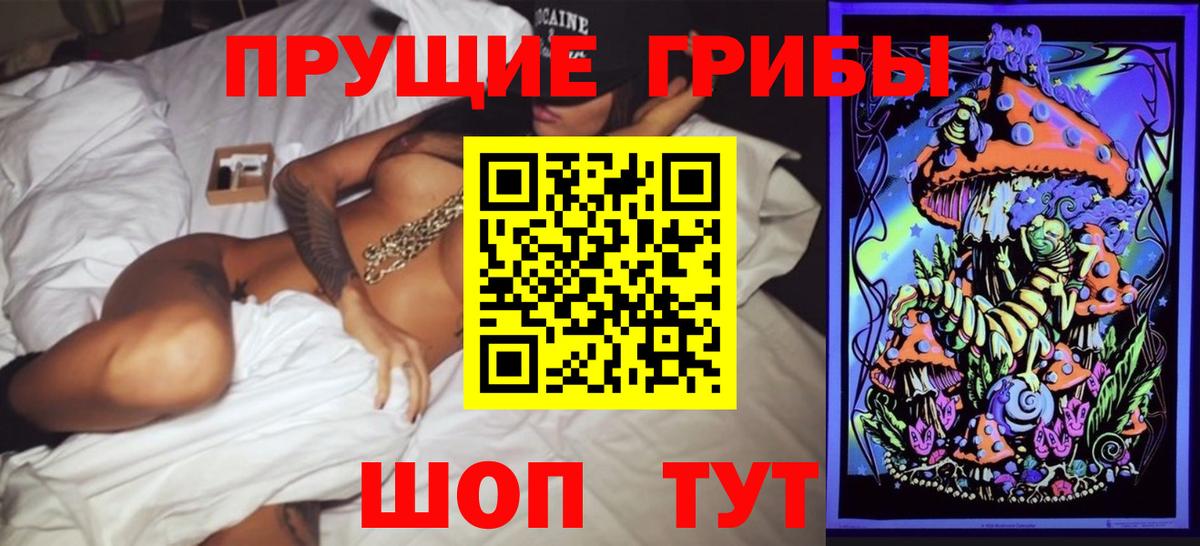 Псилоцибиновые грибы Cubensis Новосибирск