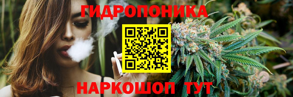 Шишки марихуана Ganja  Бошки Шишки SATIVA & INDICA  Вход с VPN  Новосибирск 